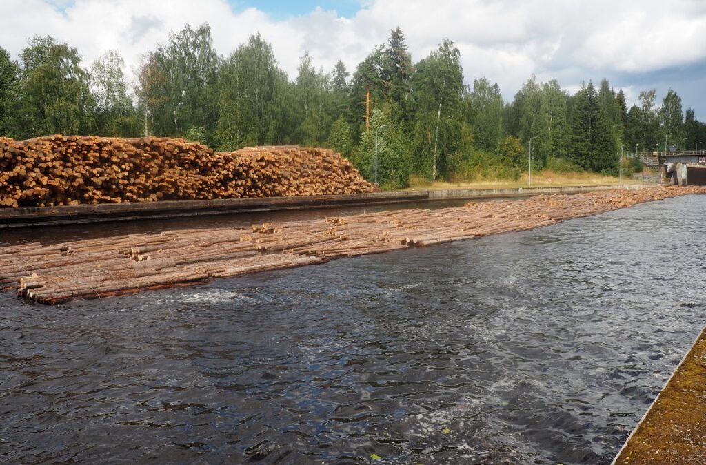 Op weg naar de grote meren van Finland