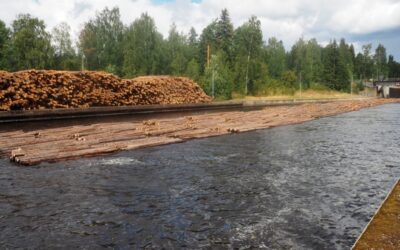 Op weg naar de grote meren van Finland